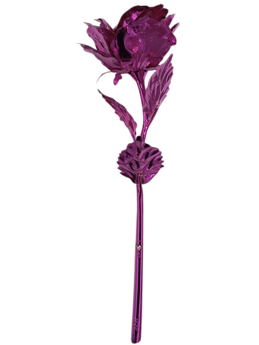 Botão Rosa Albatroz