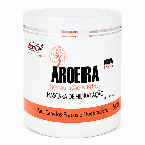 Mascara Capilar Aroeira 500ml Pup Lyne