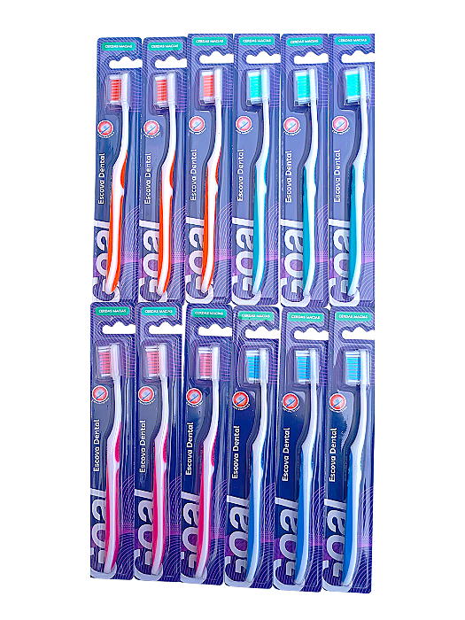 Escova Dental 12pcs Adulto Gl-0624 Attic