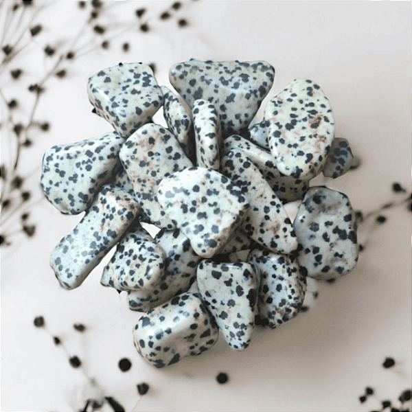 Jaspe Dálmata Rolada - Ideal para Harmonizar Relacionamentos