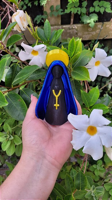 Nossa Senhora Aparecida - 3D