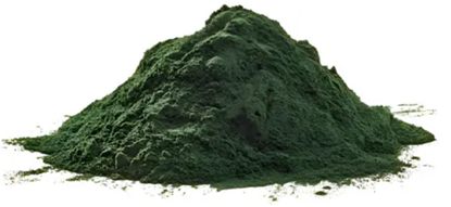 Spirulina em Pó