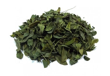 Chá de Folha de Moringa