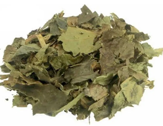 Chá de Guaco