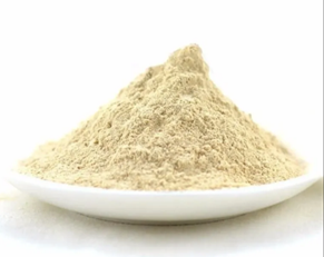 Cebola em Pó