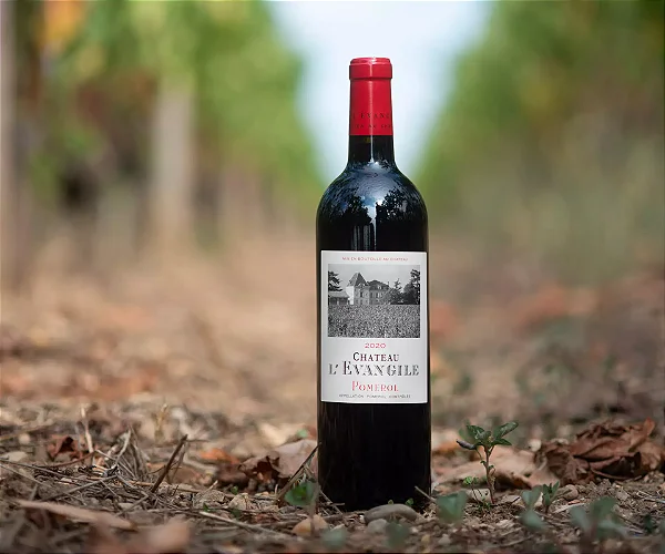 Chateau L'Evangile - Chateau L'Evangile Aop Pomerol - Rouge - 2017 - 0,75