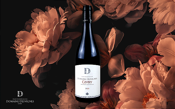 Domaine Desvignes - Givry - Rouge - 2023 - 0,75