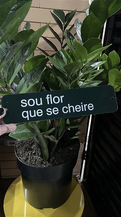 placa SOU FLOR QUE SE CHEIRE