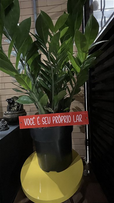 placa VOCÊ É SEU PRÓPRIO LAR