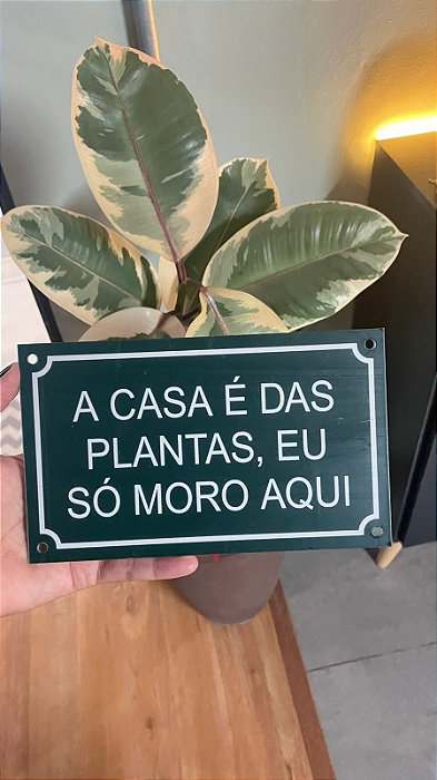 placa A CASA É DAS PLANTAS