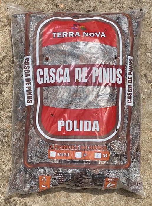 Casca de Pinus Polido M - 2Kg