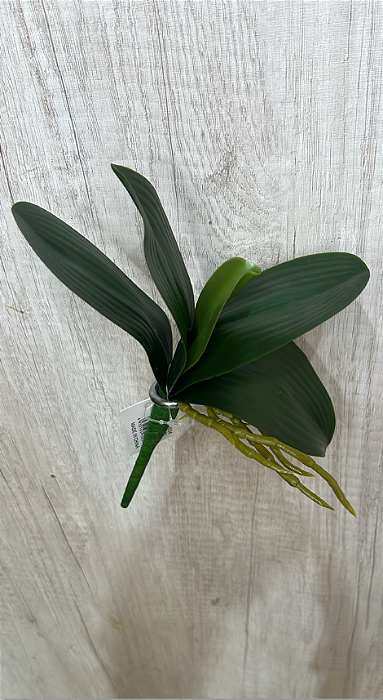 Folha Artificial de Orquídea Verde com Raízes Decorativas