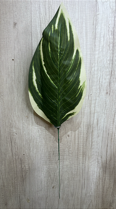 Folha Artificial de Calathea Verde com Bordas Creme