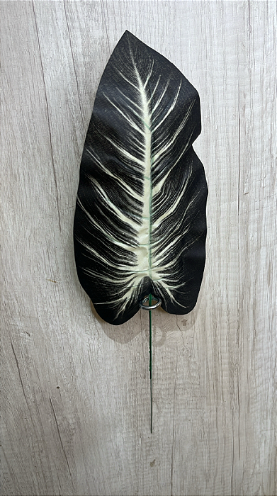 Folha Artificial de Alocasia Preta com Nervuras Claras