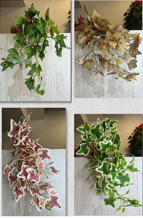 Trepadeira Artificial de Hera Sortida