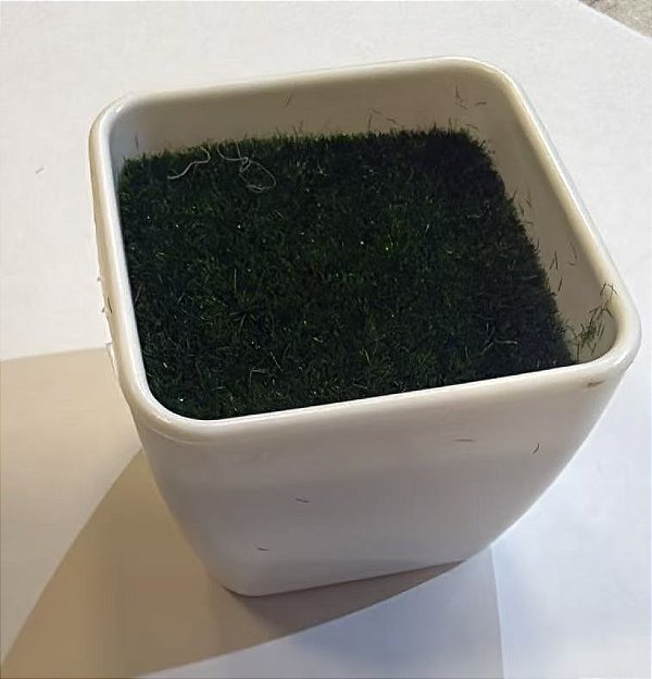 60001 vazinho de plastico com isopor