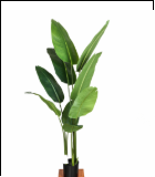 YS002 1.6米胶布旅人蕉 9叶