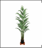 1792 1.6米11杆铁通杆燕尾葵 33叶