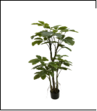 1656三杆木棉叶 28组叶