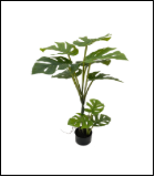 1661单杆中号龟背 10叶