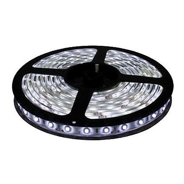 Fita LED SMD 3528 Branco Frio com Silicone 5M 12V
