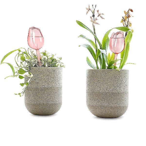 Bolas de Rega Automática Premium Rosa para Plantas Internas e Externas, Design Durável e Ecológico para Uso em Casa e Jardim