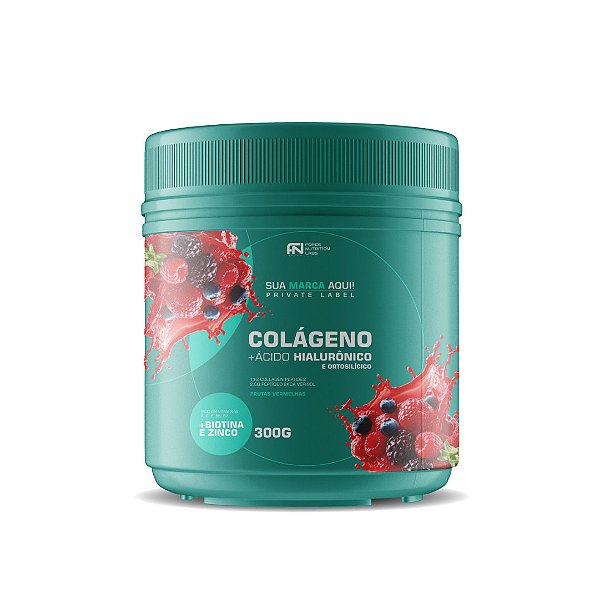 Colágeno + Ácido Hialurônico - 300g