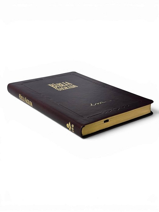 BIBLIA SLIM MARROM SEM INDICE
