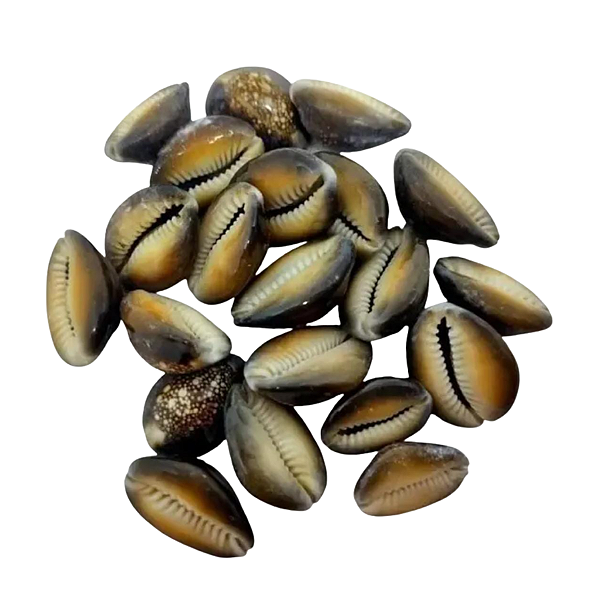 Búzios Africano
