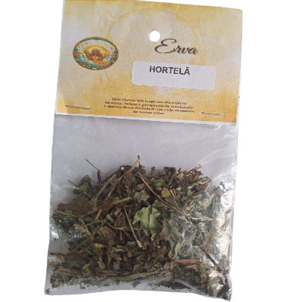 Ervas - Hortelã