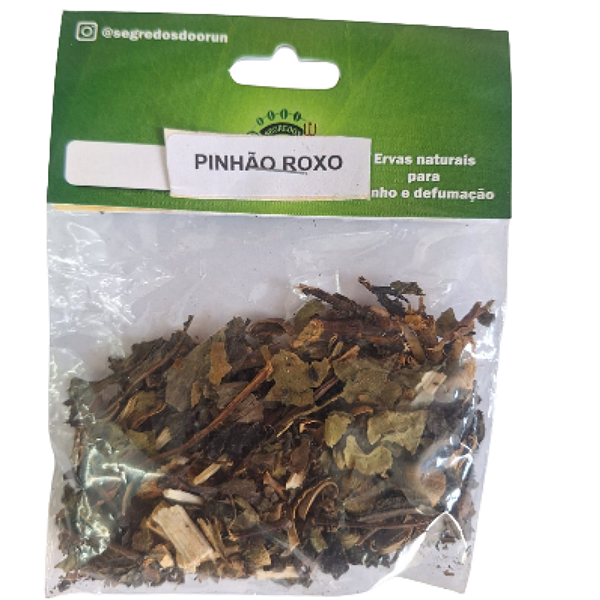 Ervas - Pinhão Roxo