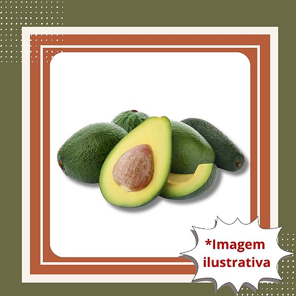 Muda de Abacate Breda Enxertado – Frutos Grandes, Cremosos e Produção Precoce