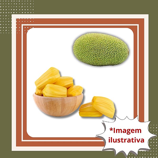 Muda de Jaca Dura – Fruta Grande, Saborosa e Alta Produtividade