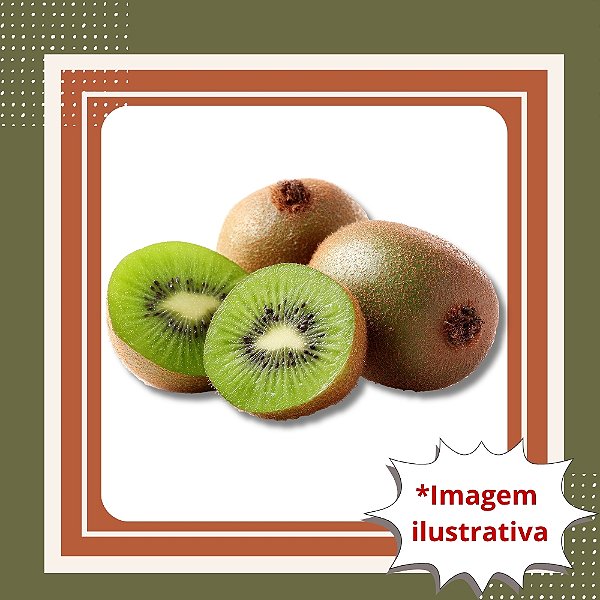 Muda de Kiwi Bruno Fêmea Enxertada – Frutos Grandes e Saborosos