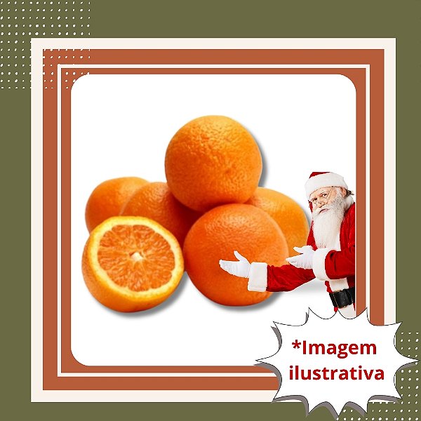 Muda de Laranja Natal Enxertada – Suculenta, Doce e de Alta Produção