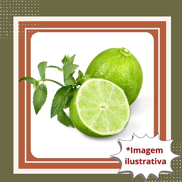 Muda de Limão Citrumelo Swingle – Alta Resistência e Ideal para Produção de Frutos