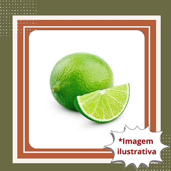 Muda de Limão Galego Enxertada – Produz Rápido e Muito Suculento