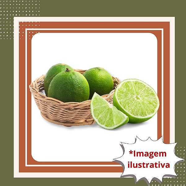 Muda de Limão Taiti Enxertado — Produção Rápida, Muito Produtivo e Ideal para Vaso ou Quintal