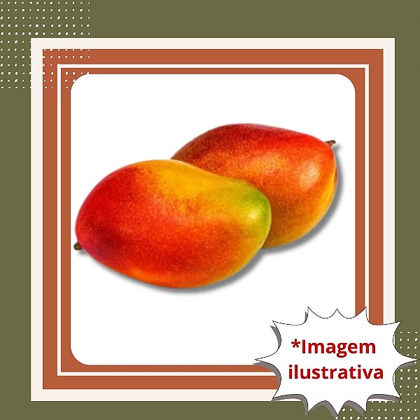 Muda de Manga Palmer Enxertada – Alta Produção e Frutos de Qualidade