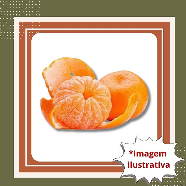 Muda de Mexerica Rio – Frutos Doces e Produção Rápida