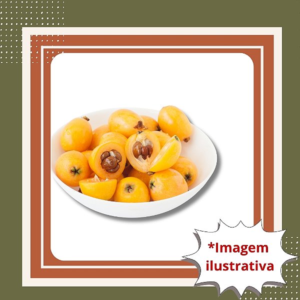Muda de Nêspera – Frutos Doces e Produção Fácil