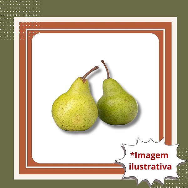 Muda de Pera Le Conde – Frutífera Produtiva e Frutos Saborosos