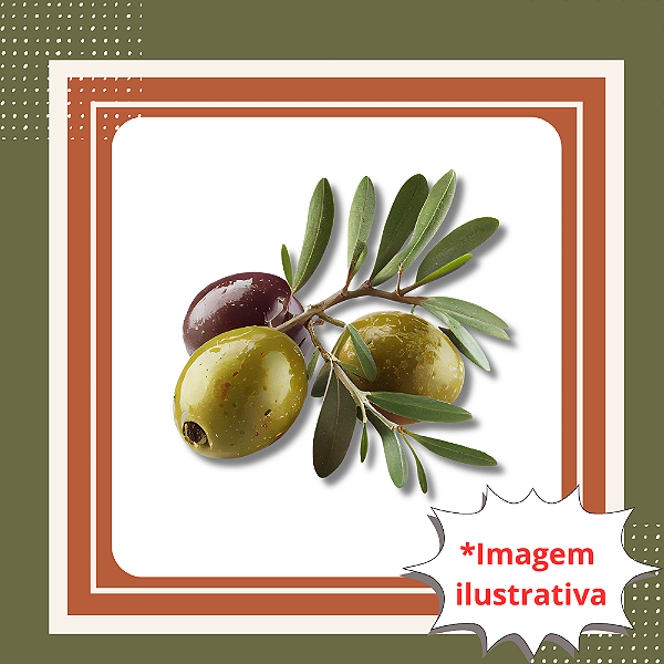 Muda de Oliveira Arbequina – Azeitonas de Alta Qualidade e Fácil Cultivo