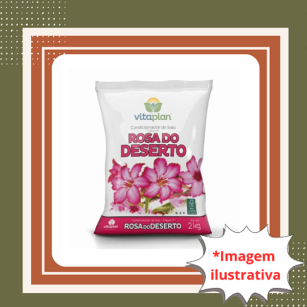 Terra para Rosa do Deserto 2kg Substrato Ideal para Adenium