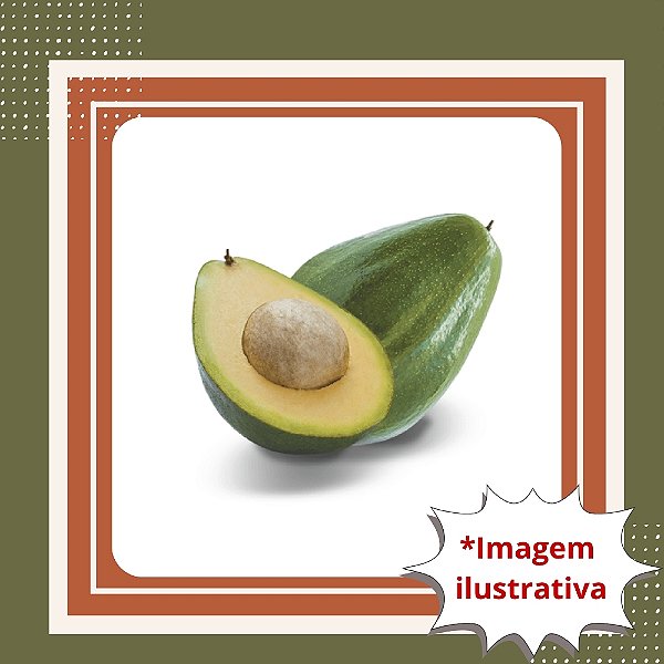 Muda de Abacate Margarida Enxertado
