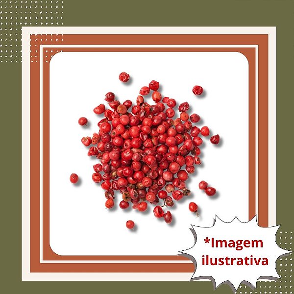 Muda de Aroeira Salsa – Crescimento Rápido e Ornamental