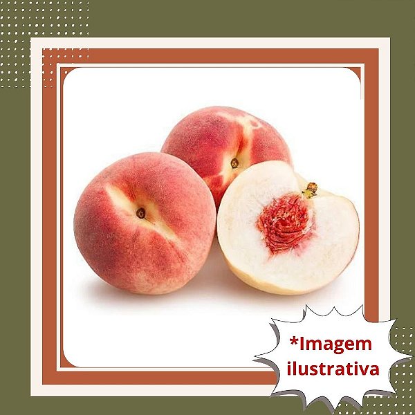 Muda de pêssego Marli enxertado com frutos - branco