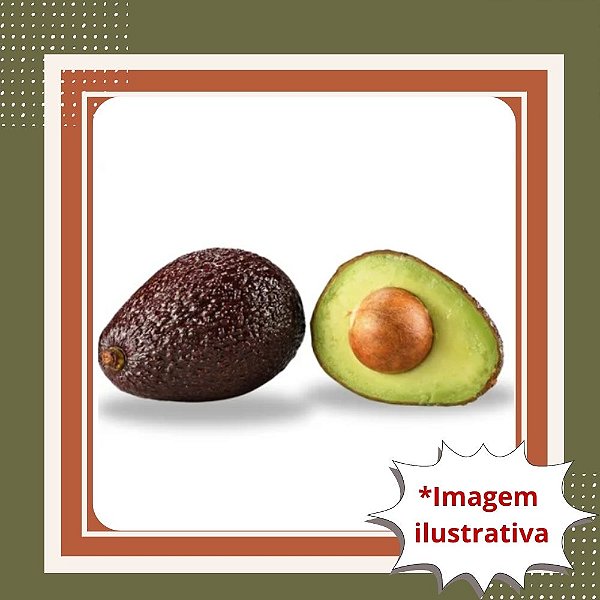 Abacate Avocado Enxertado - Hass