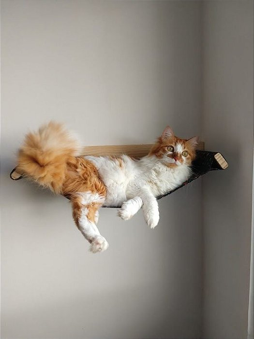 Redinha para Gatos em madeira maciça e tecido confortável