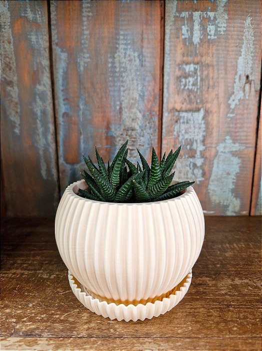 Vaso para Suculentas e Flores Com Coletor de Água